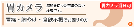 胃カメラ(胃痛・胸やけ・食欲不振でお困りの方)